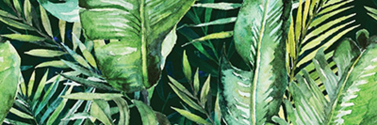 Декор Braga Tropic B RECT 250x750x9 Konskie - Зображення 1888836-92eb5.jpg