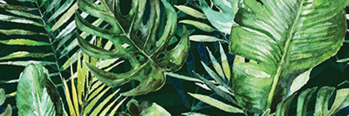 Декор Braga Tropic C RECT 250x750x9 Konskie - Зображення 1888838-4a8a0.jpg