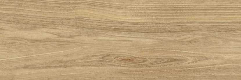 Плитка стінова Dreamwood RECT 250x750x9 Ceramika Color - Зображення 1913828-ebe3d.jpg