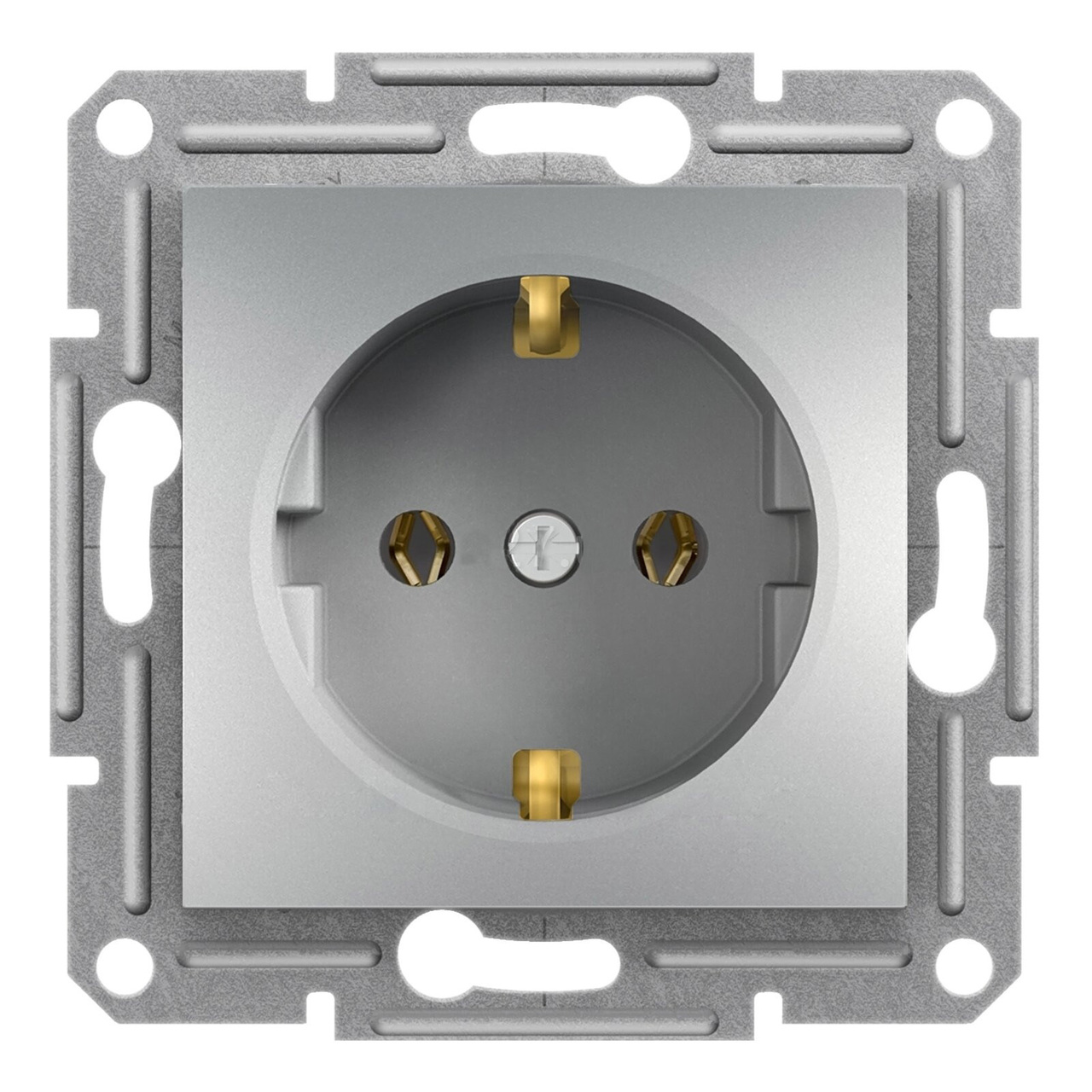 Розетка с заземлением Алюминий ASFORA (EPH2900161), Schneider Electric - Зображення