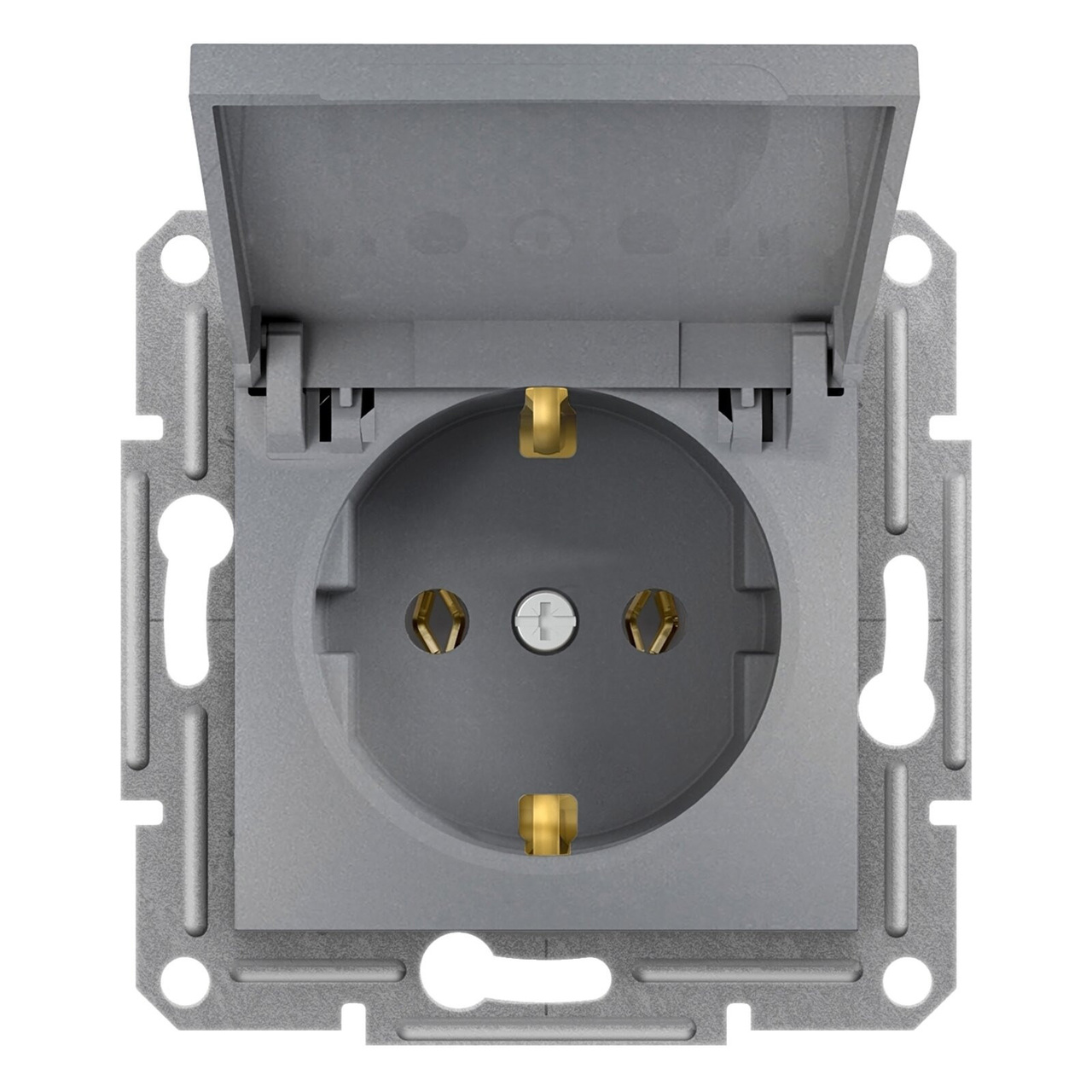 Розетка з заземленням, з кришкою Сталь ASFORA (EPH3100162), Schneider Electric - Зображення 1932056-76990.jpg