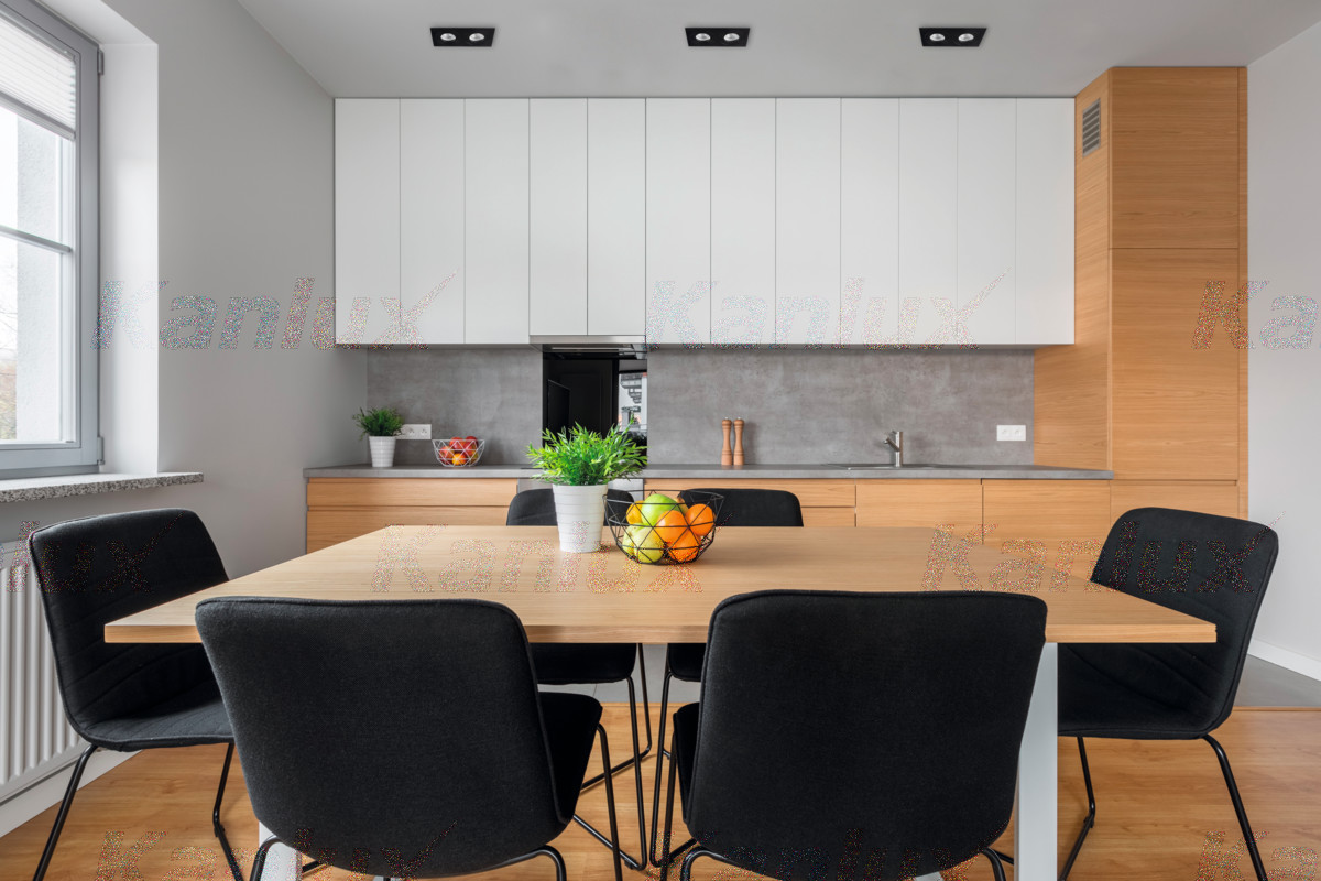 Точковий світильник SEIDY CT-DTL250-B-M (19459), Kanlux - Зображення 19459-.jpg