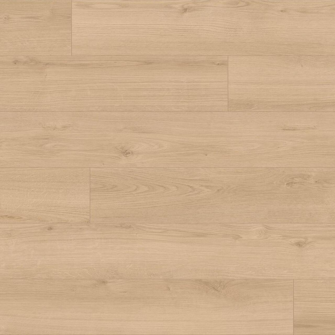 Ламинат Kaindl Natural Touch Standard Plank K4423 Дуб Evoke Crystal - Зображення