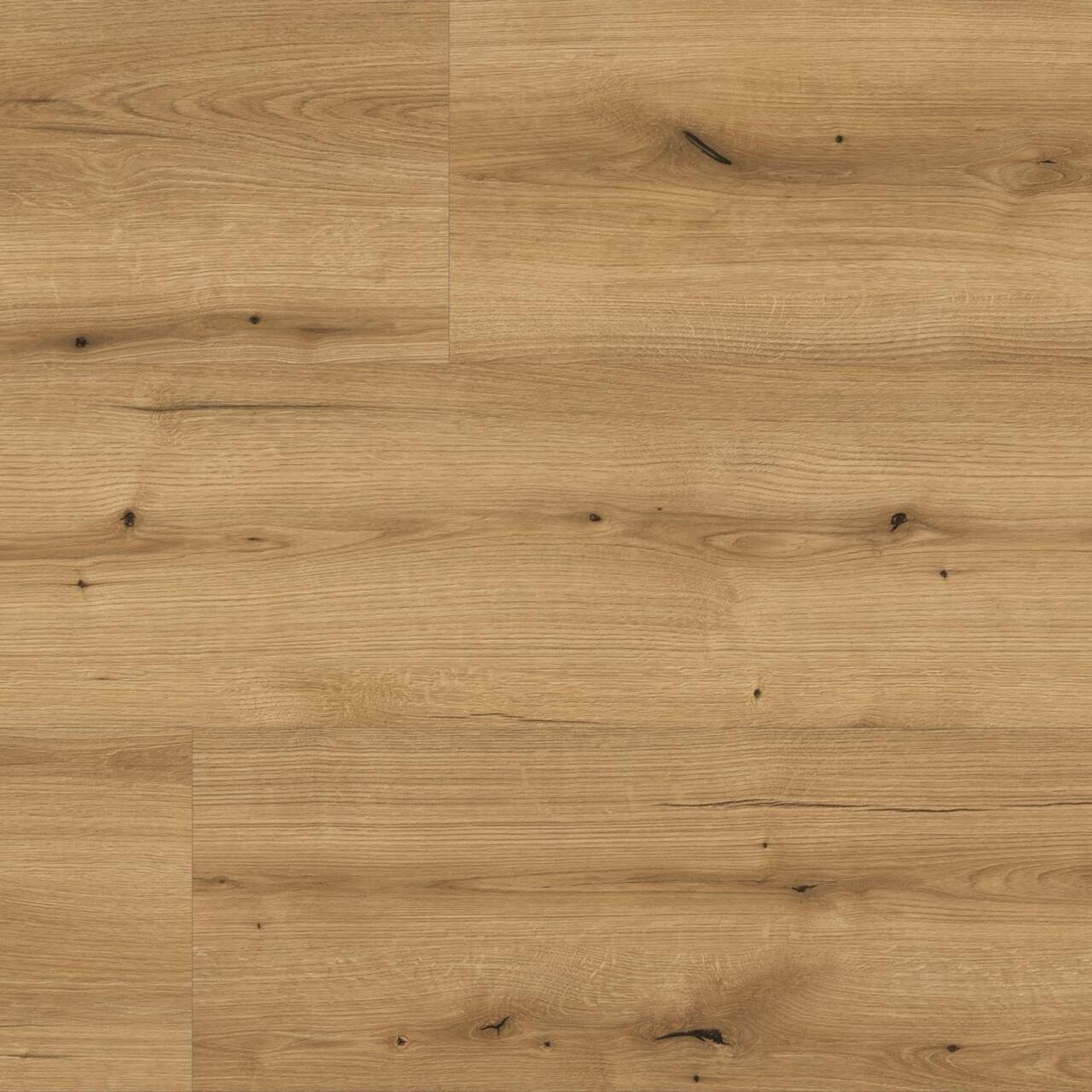 Ламінат Kaindl Natural Touch Standard Plank K5573 Дуб Evoke Coast - Зображення