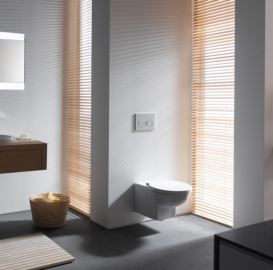 Кнопка зливу Omega 20 (115.085.KH.1) хром, Geberit - Зображення 198528-563b9.jpg