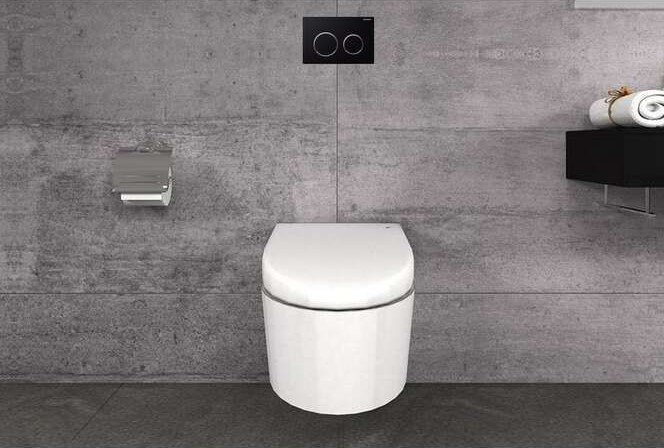 Кнопка зливу Omega 20 115.085.KM.1 чорний Geberit - Зображення 198544-25afb.jpg