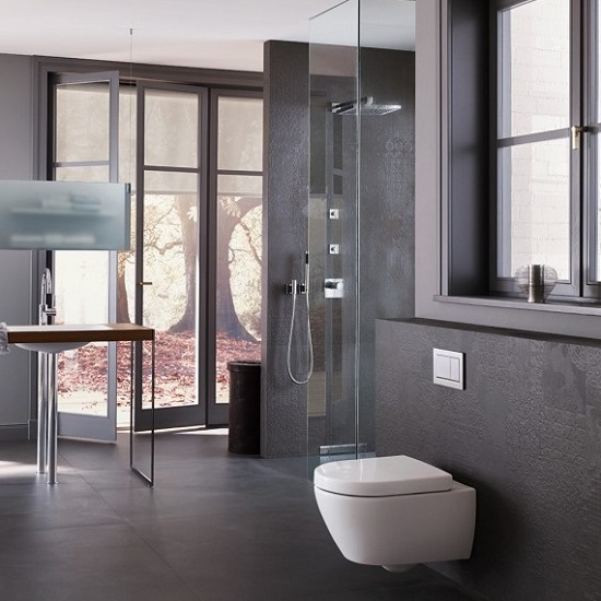 Кнопка зливу Omega 30 (115.080.KH.1) хром, Geberit - Зображення 198565-4f911.jpg