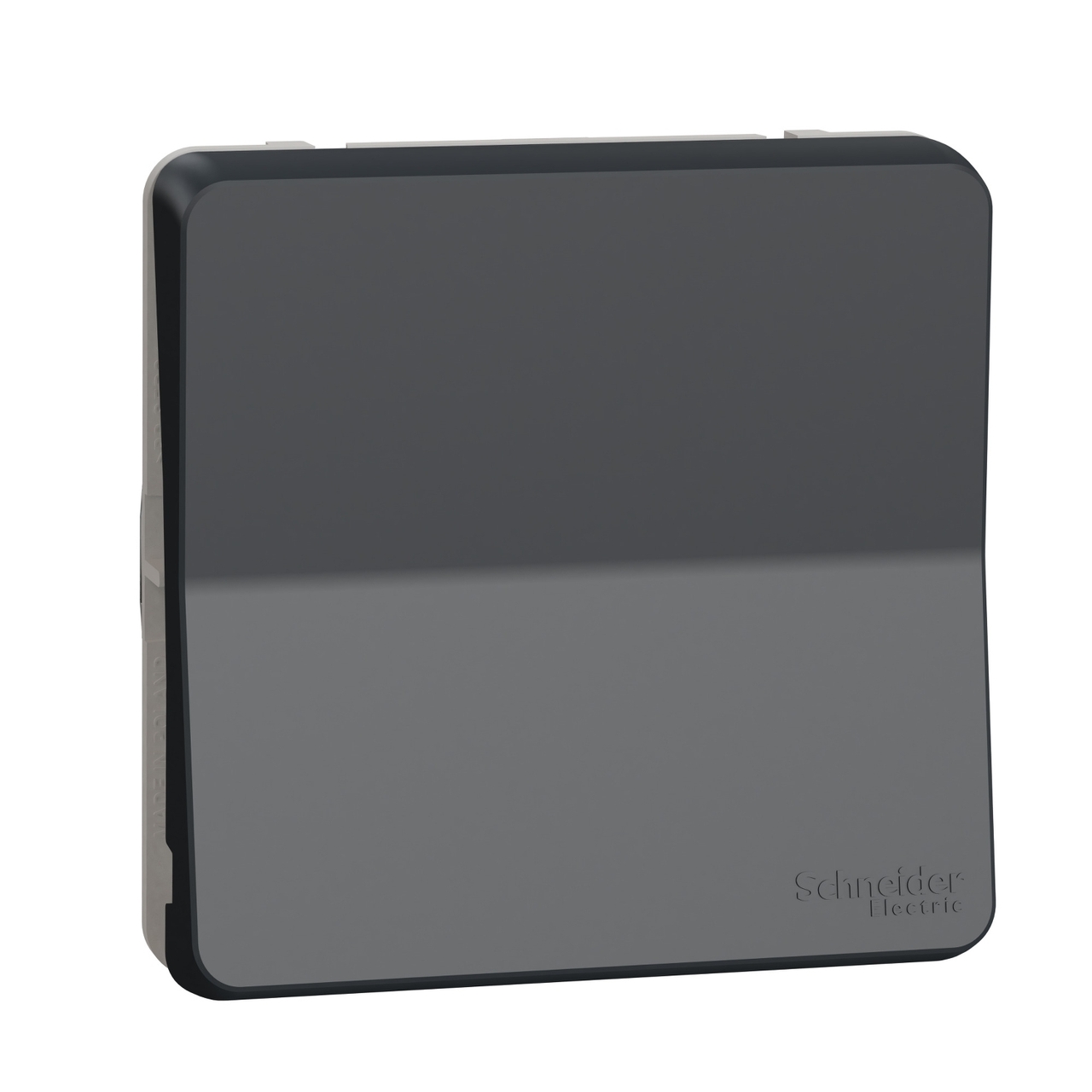 Перемикач 1-клавішний IP55 Чорний MUREVA STYL (MUR35020), Schneider Electric - Зображення 2076360-1b06b.jpg