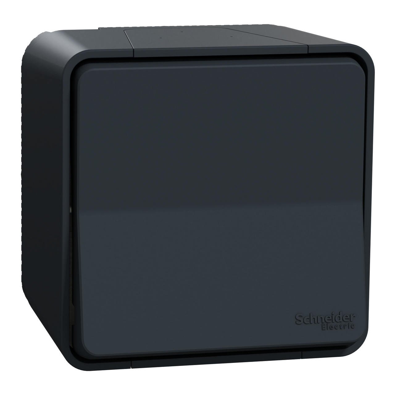Перемикач 1-клавішний IP55 Чорний MUREVA STYL (MUR35021), Schneider Electric - Зображення 2076368-c32c5.jpg