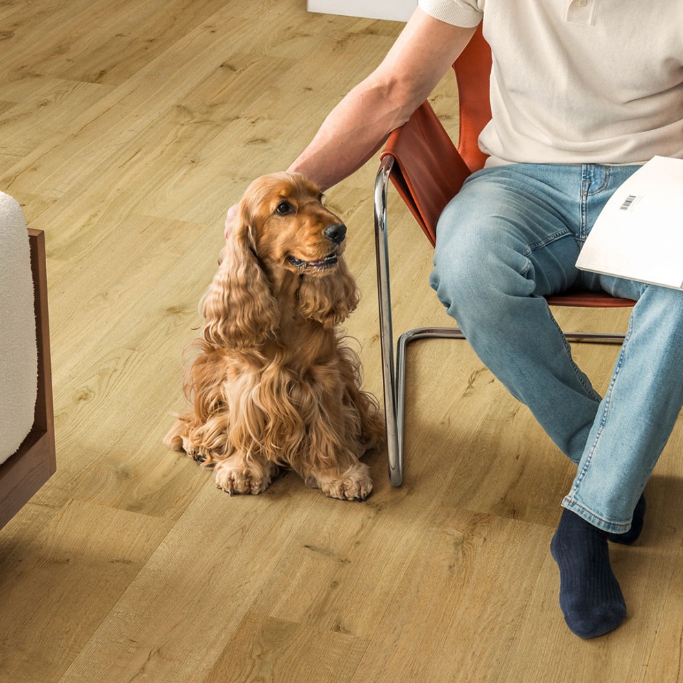 Ламинат Impressive Ultra Дуб трюфель 1380х190x12 Quick-Step - Зображення 209351157-b93ba.jpeg