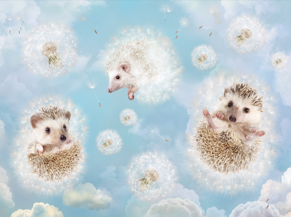 Фотошпалери LeoPrint Повітряне щастя - Зображення 215798529-3ba4e.jpg