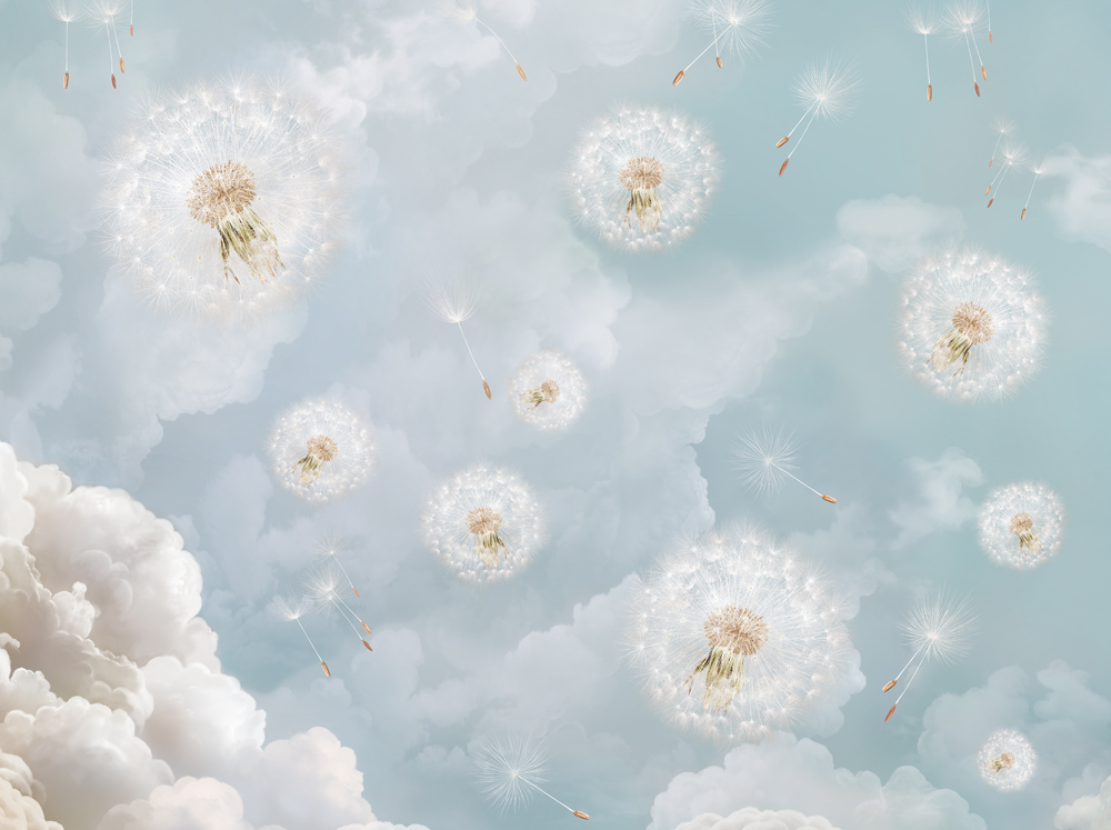 Фотошпалери LeoPrint Повітряне щастя - Зображення 215798529-8c4ae.jpg