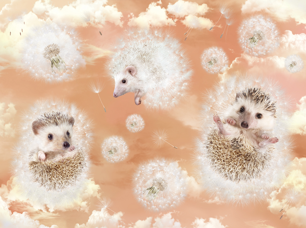 Фотошпалери LeoPrint Повітряне щастя - Зображення 215798529-ee08b.jpg