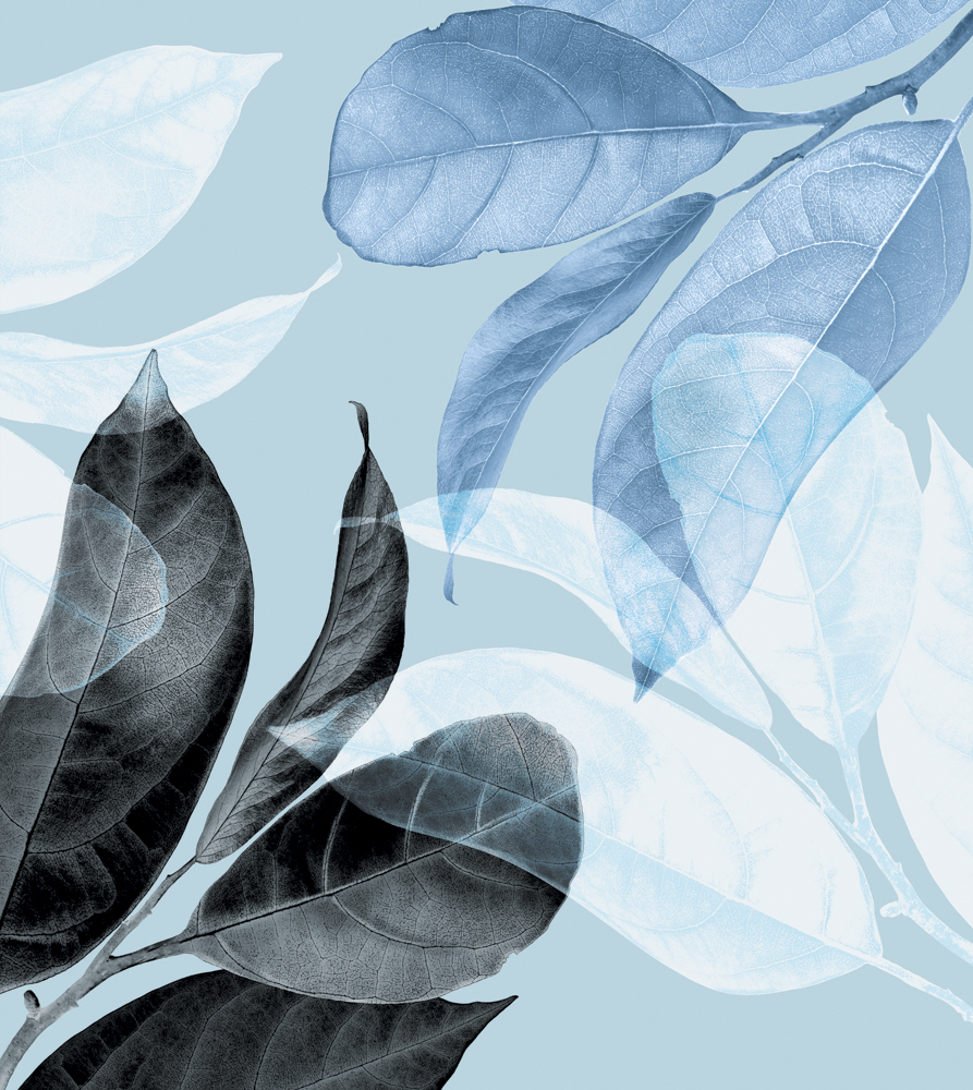 Фотошпалери LeoPrint Танок листя - Зображення 215798681-d160b.jpg