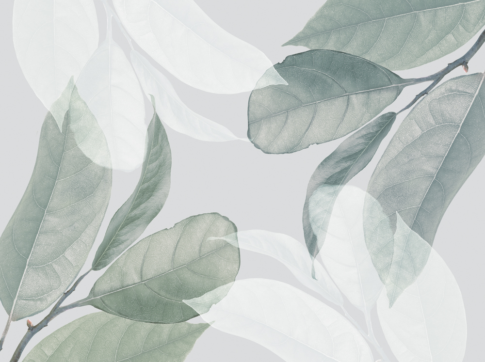 Фотошпалери LeoPrint Танок листя - Зображення 215798681-ef25d.jpg