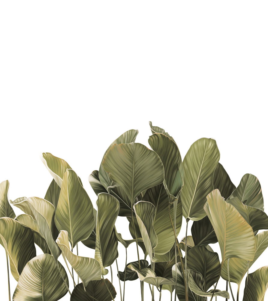 Фотошпалери LeoPrint Балі - Зображення 215798683-a794a.jpg