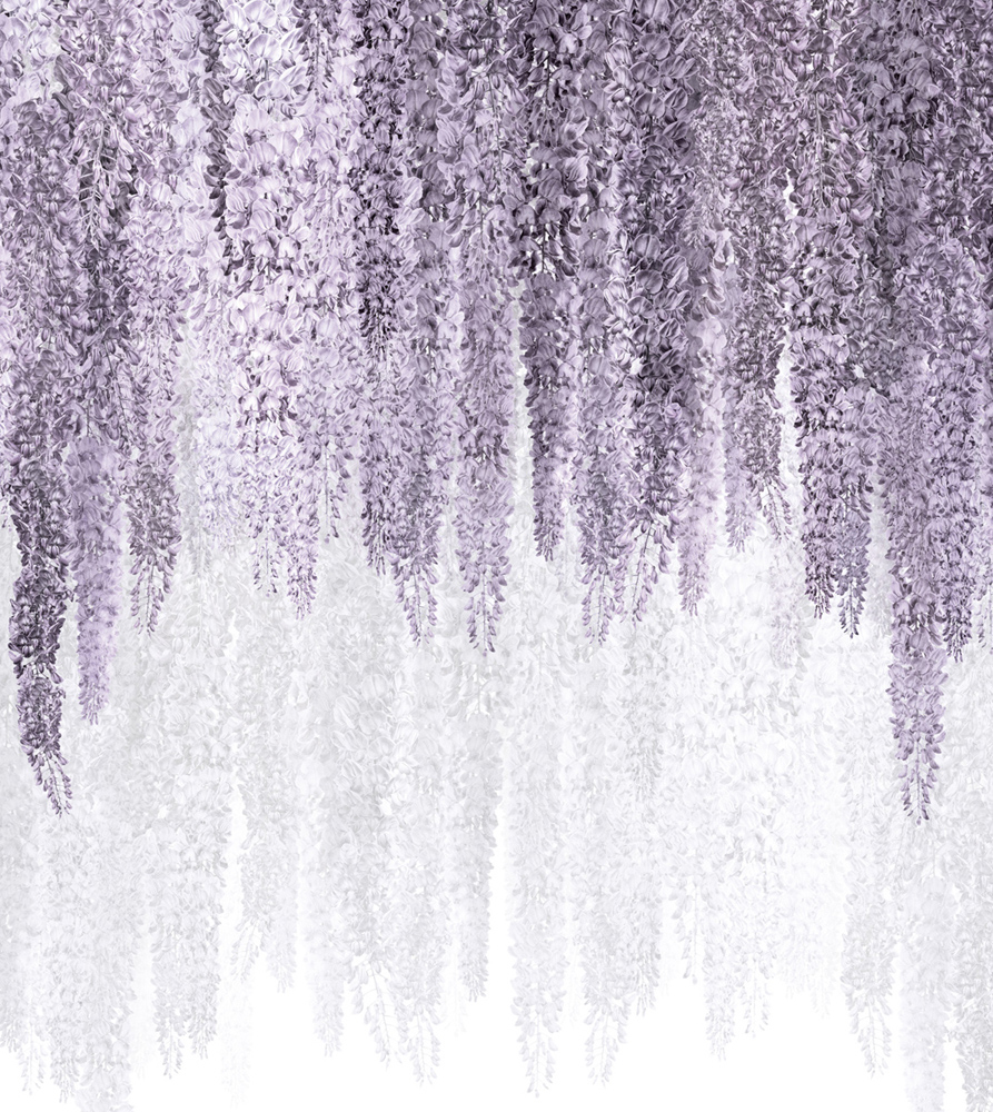 Фотошпалери LeoPrint Гліцинія - Зображення 215798686-50382.jpg