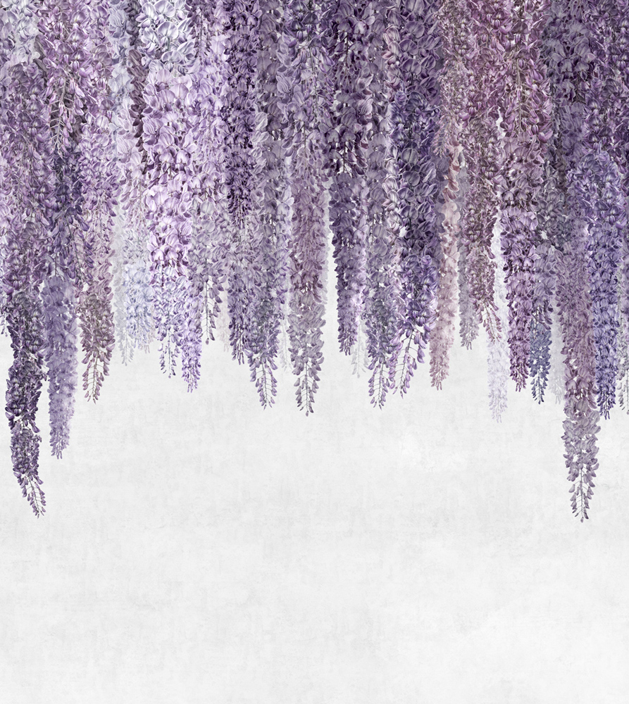 Фотошпалери LeoPrint Гліцинія - Зображення 215798686-f0b3d.jpg