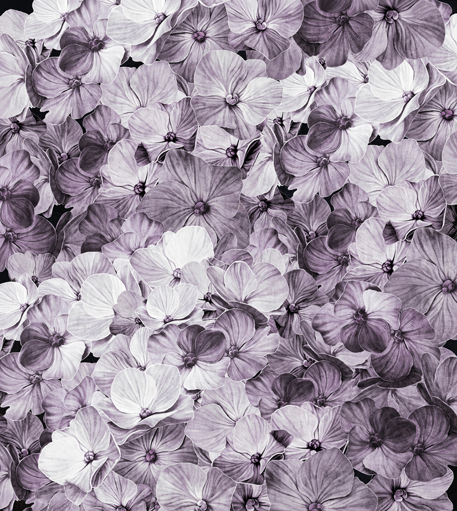 Фотошпалери LeoPrint Гортензія - Зображення 215798687-08c17.jpg