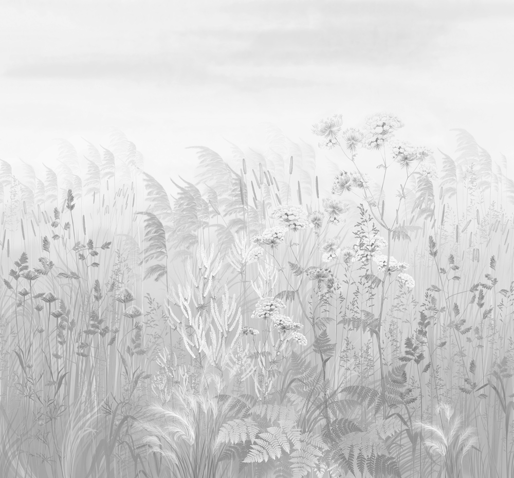 Фотошпалери LeoPrint Лугова прозорість - Зображення 215798689-252aa.jpg