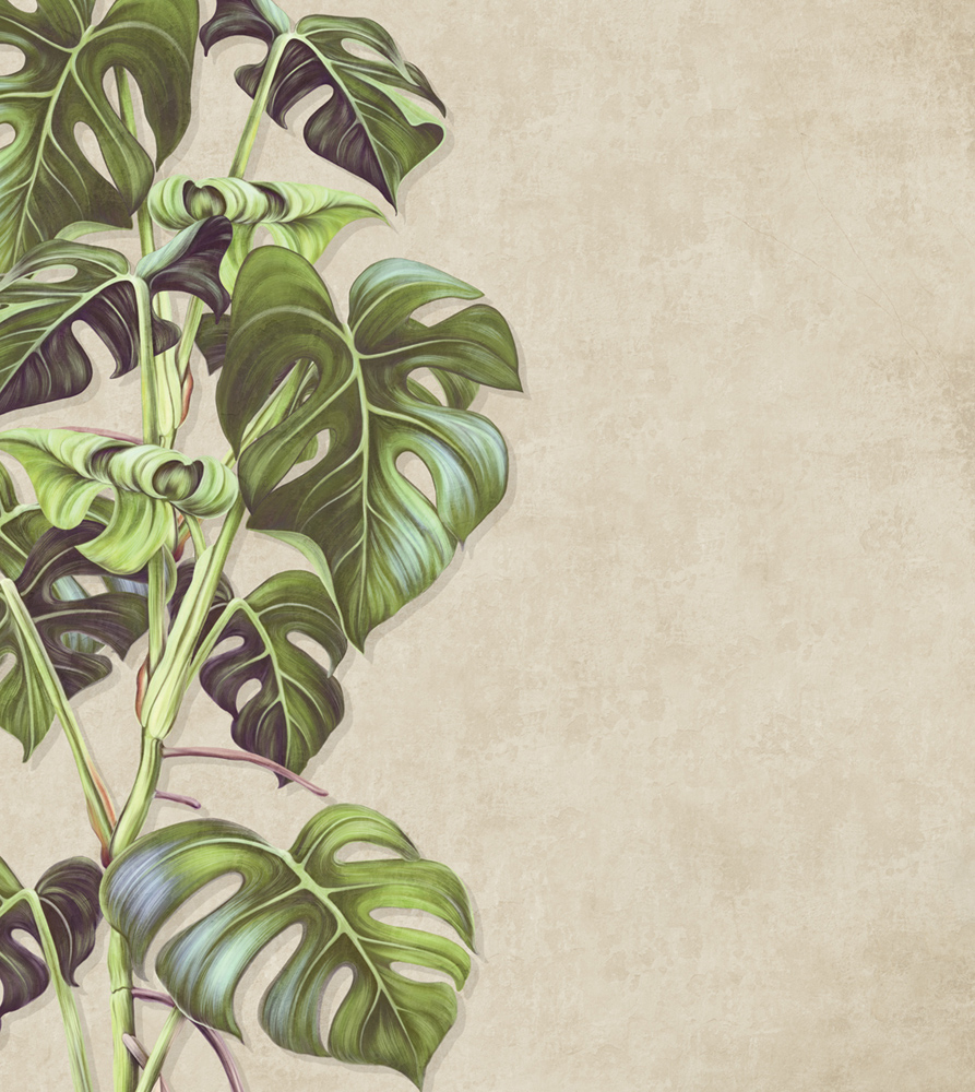 Фотошпалери LeoPrint Монстера - Зображення 215798690-15736.jpg