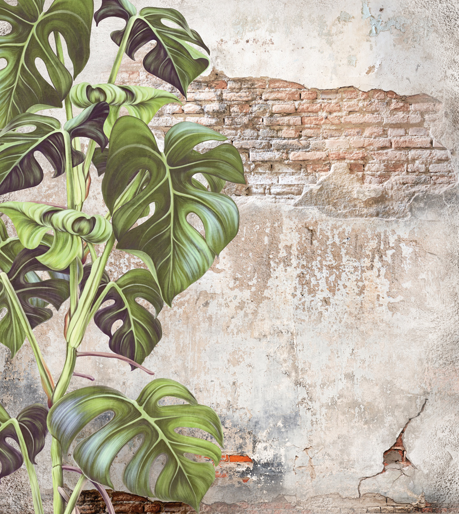 Фотошпалери LeoPrint Монстера - Зображення 215798690-d8141.jpg