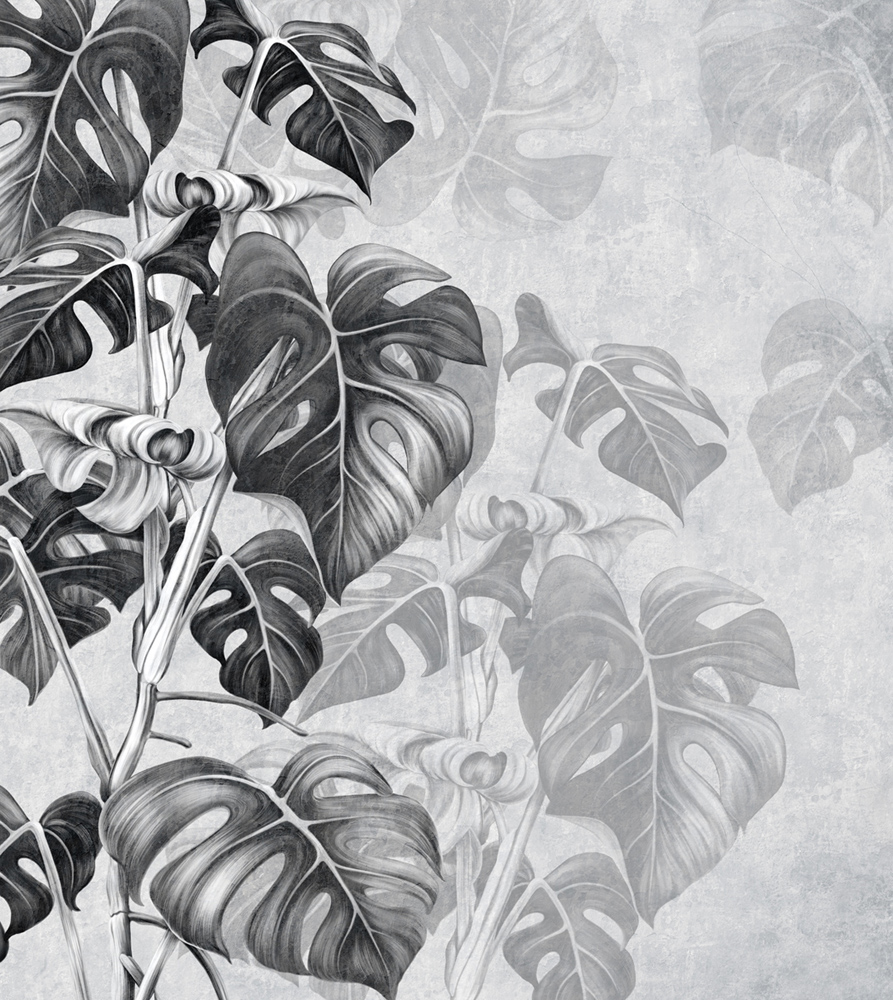 Фотошпалери LeoPrint Монстера - Зображення 215798690-fcf59.jpg