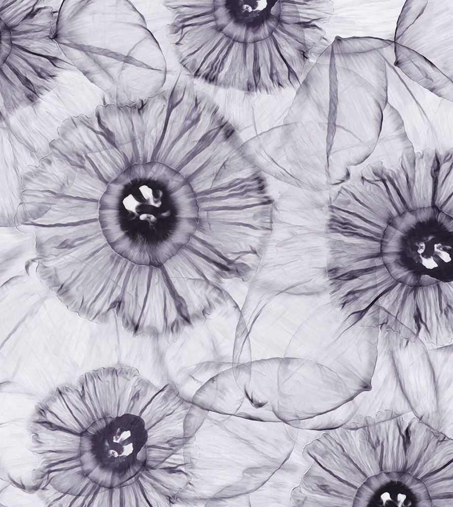 Фотошпалери LeoPrint Нарцис - Зображення 215798691-63807.jpg