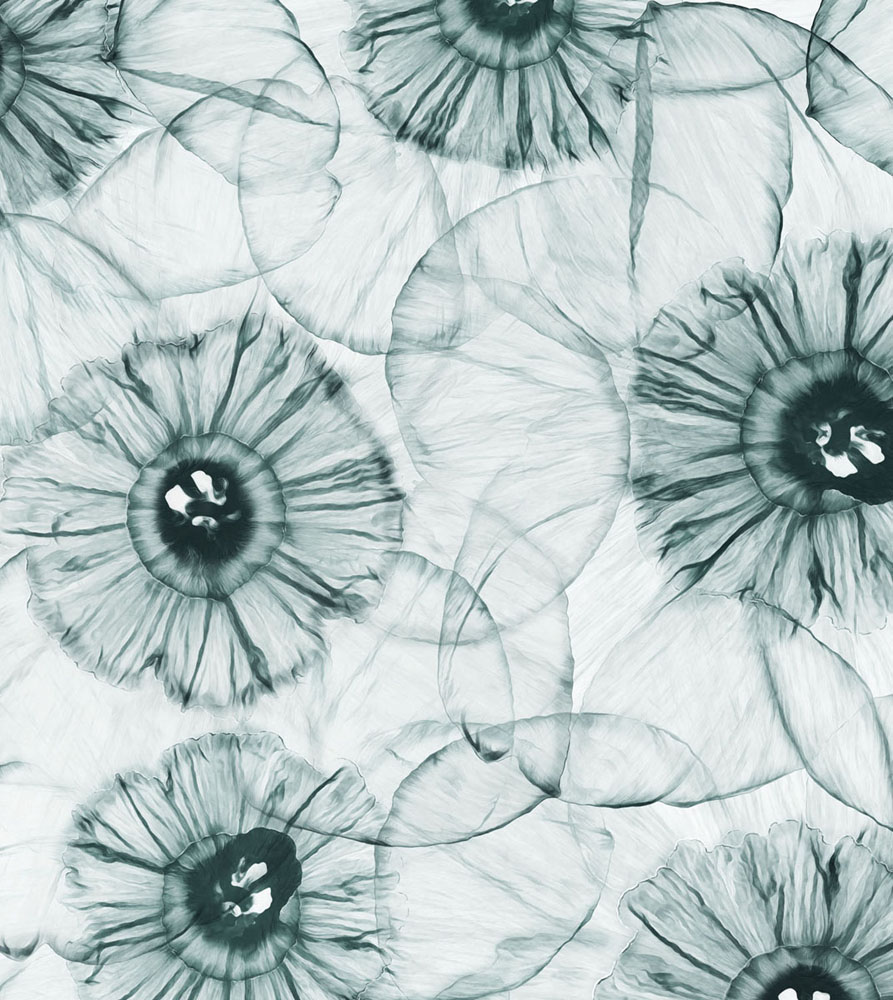 Фотошпалери LeoPrint Нарцис - Зображення 215798691-655cc.jpg