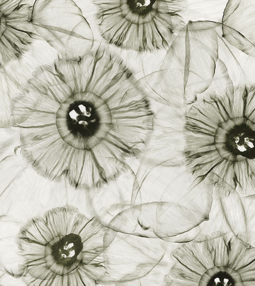 Фотошпалери LeoPrint Нарцис - Зображення 215798691-d7956.jpg