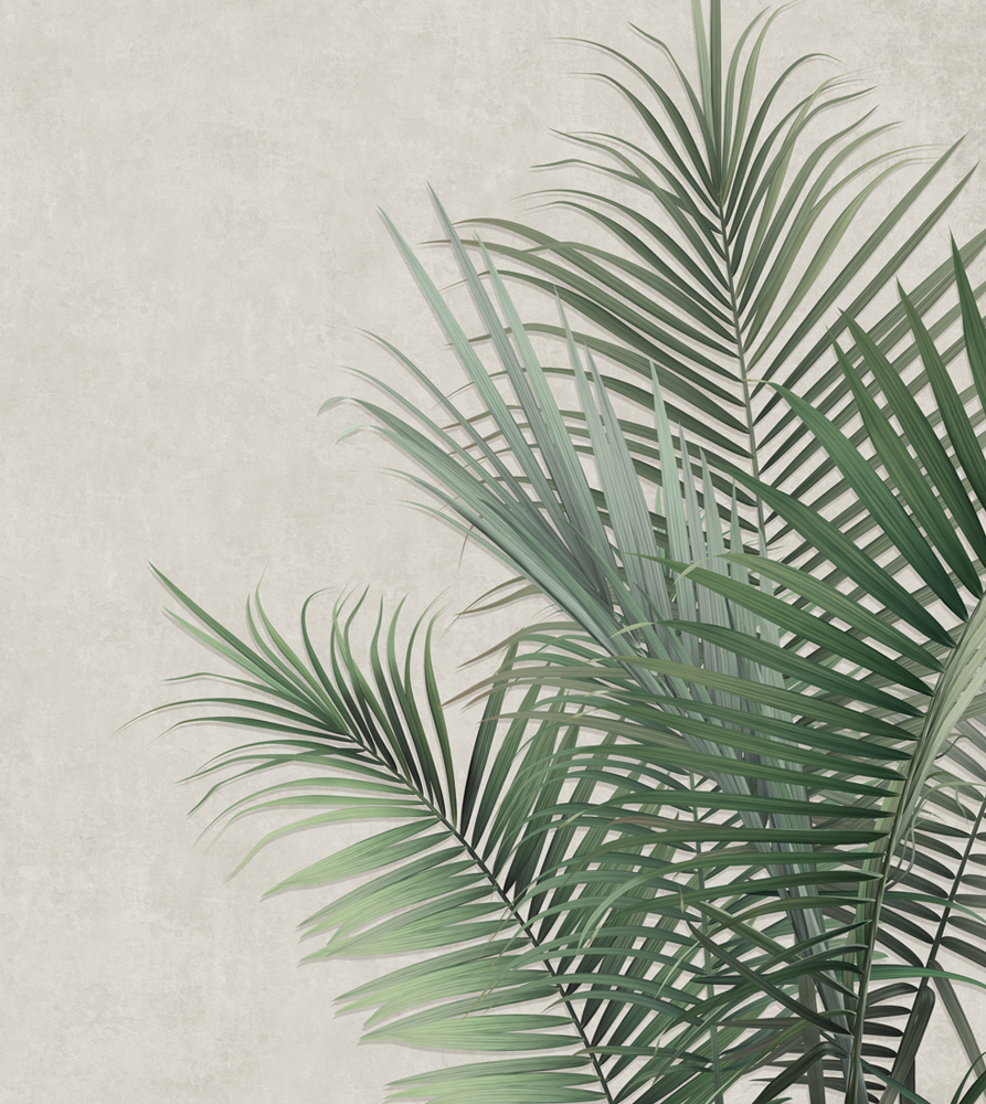 Фотошпалери LeoPrint Пальмове листя - Зображення 215798693-f618b.jpg