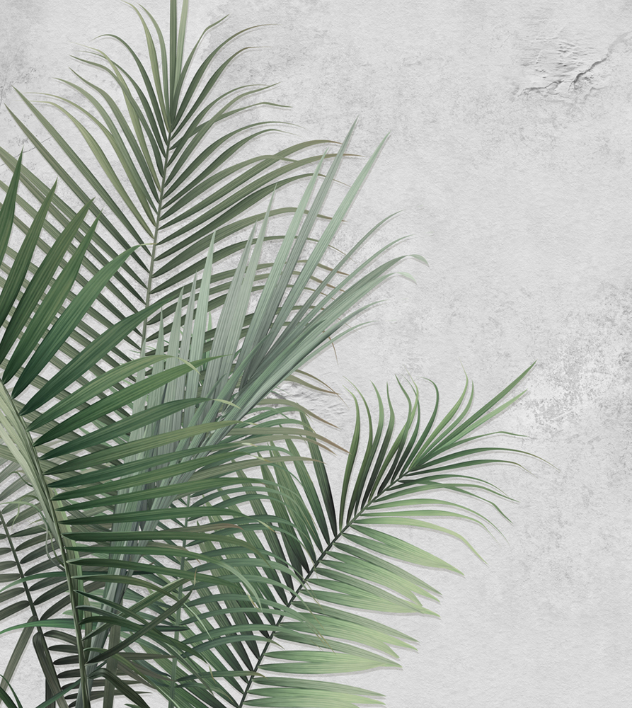 Фотошпалери LeoPrint Пальмове листя - Зображення 215798693-fa499.jpg