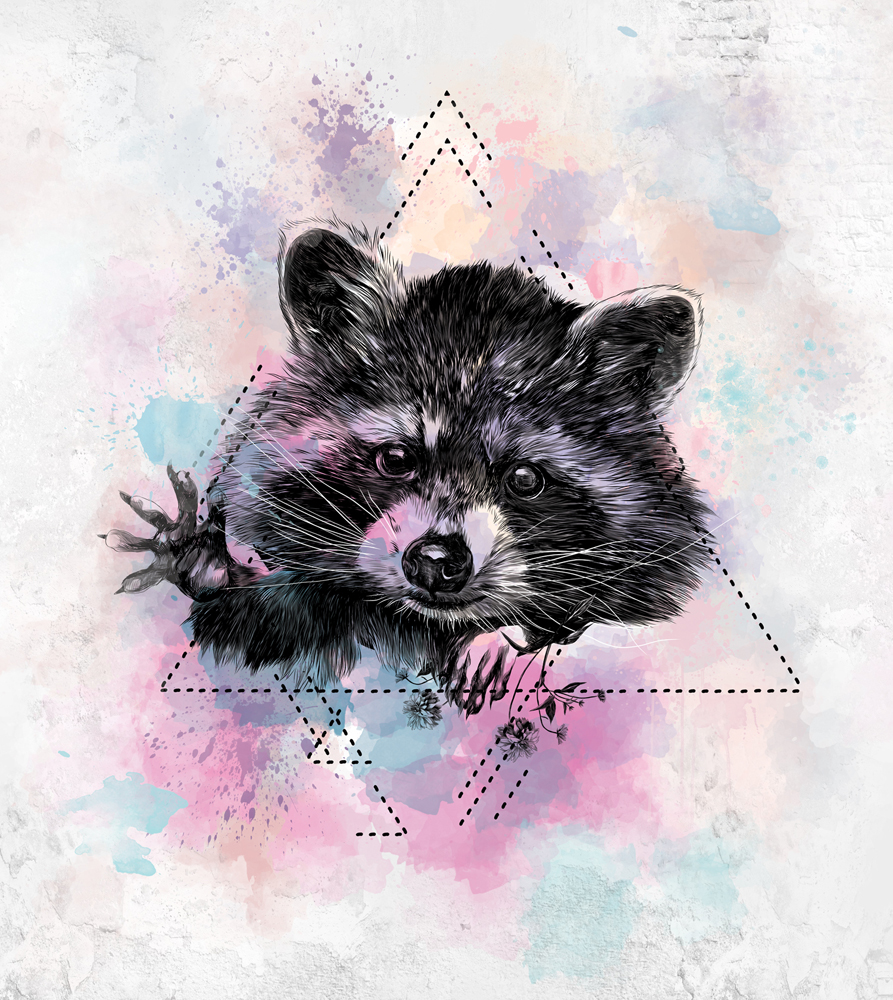 Фотошпалери LeoPrint Голодний єнот - Зображення 215979954-716b2.jpg