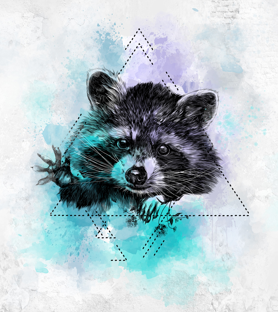 Фотошпалери LeoPrint Голодний єнот - Зображення 215979954-d7f39.jpg