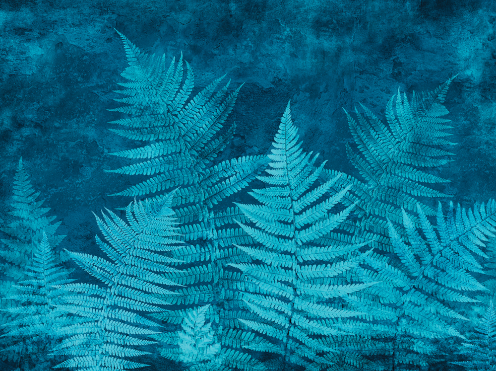 Фотошпалери LeoPrint Листя папороті - Зображення 215979962-58ade.jpg
