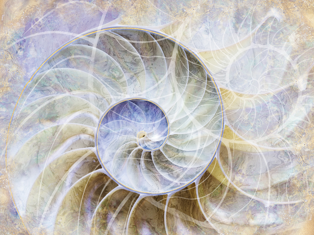 Фотошпалери LeoPrint Перлина - Зображення 215979964-fbe3b.jpg