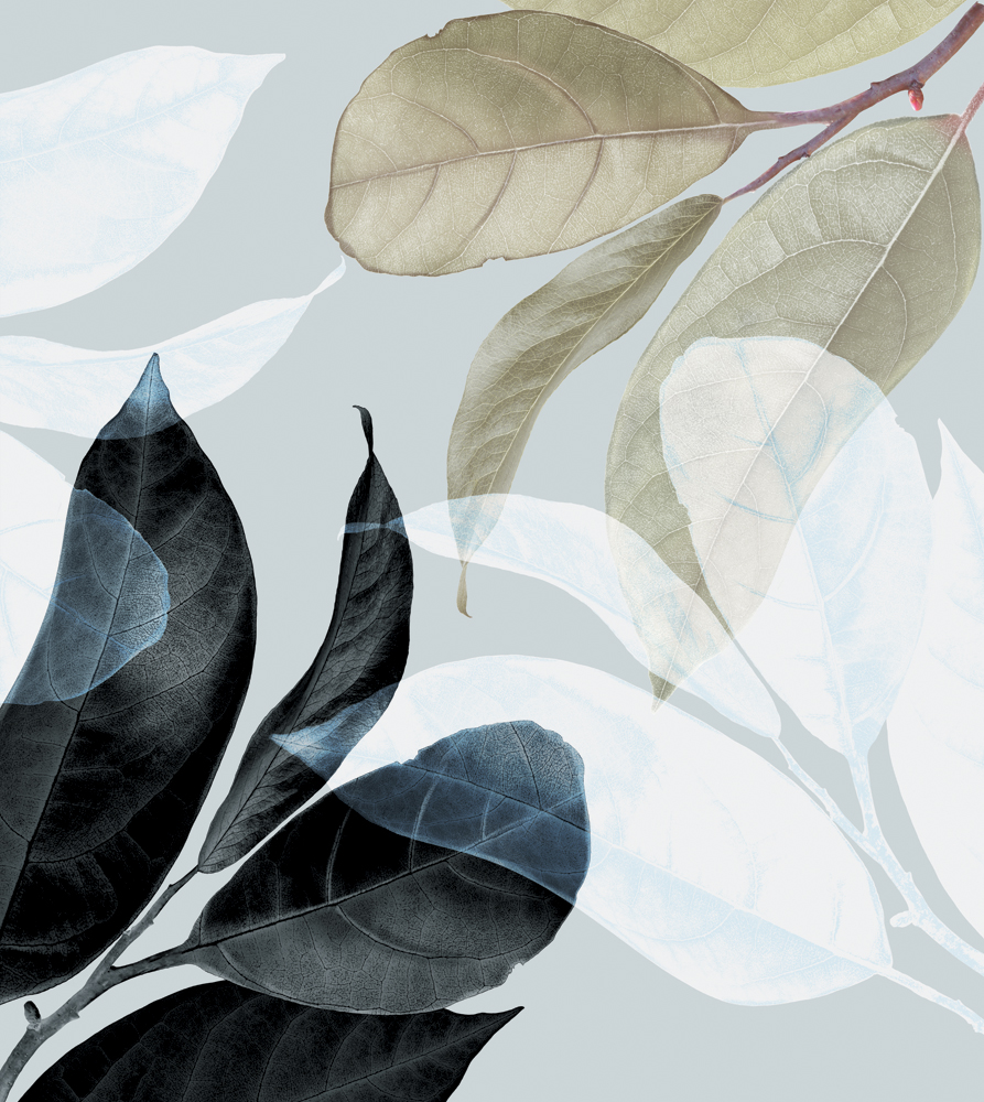 Фотошпалери LeoPrint Танок листя - Зображення