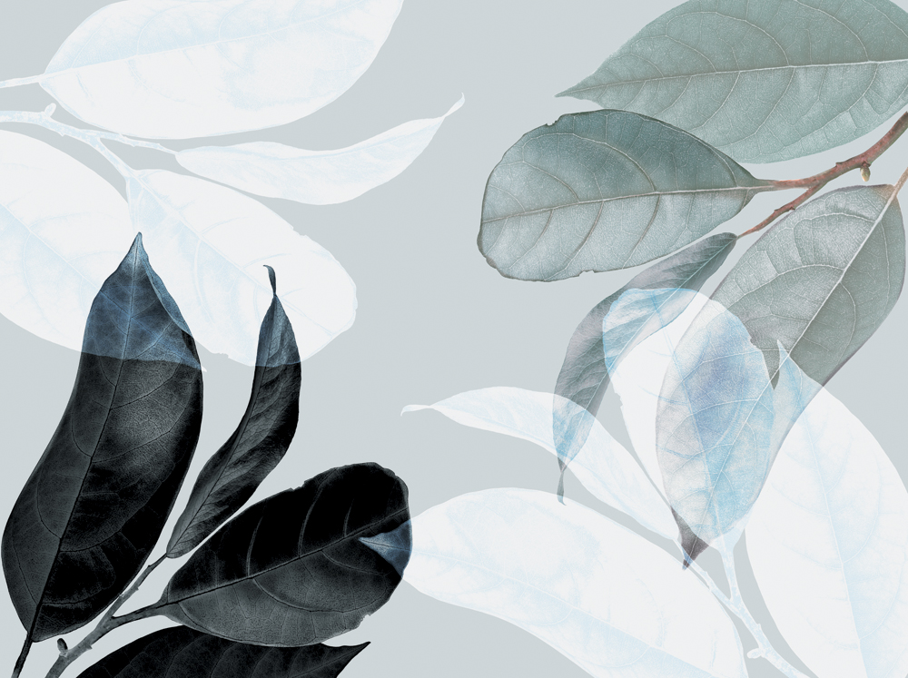 Фотошпалери LeoPrint Танок листя - Зображення 215979967-b17d1.jpg