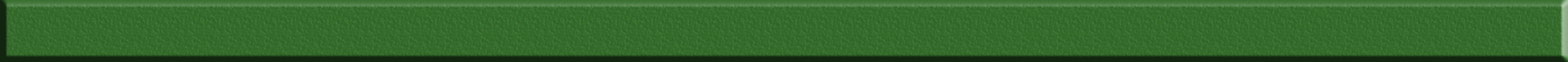 Фриз GF 9016 Green 25x900x8 Котто Кераміка - Зображення