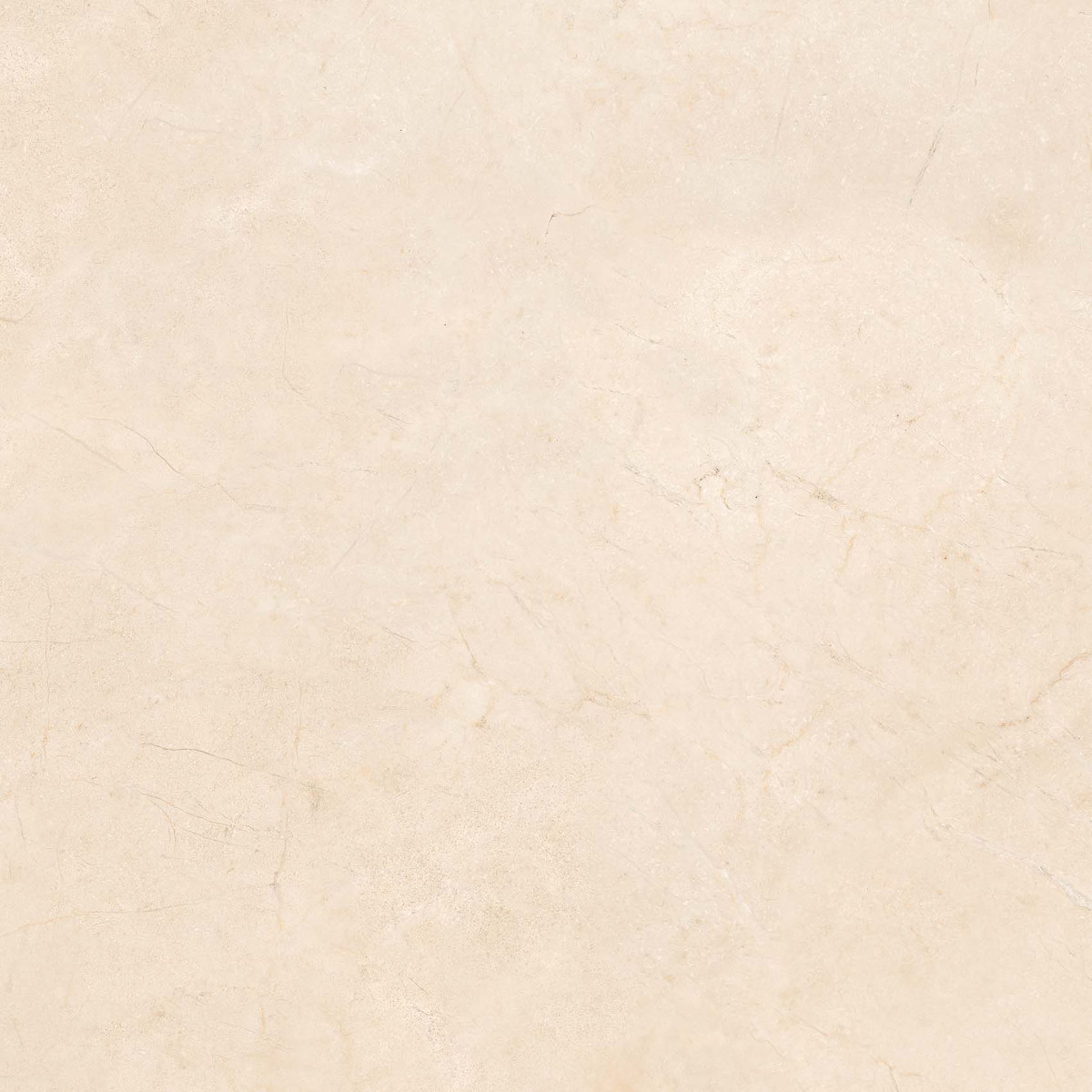 Плитка керамогранітна Thalassa Herse-R Marfil RECT 593x593x10 Arcana - Зображення 248803-56347.jpg
