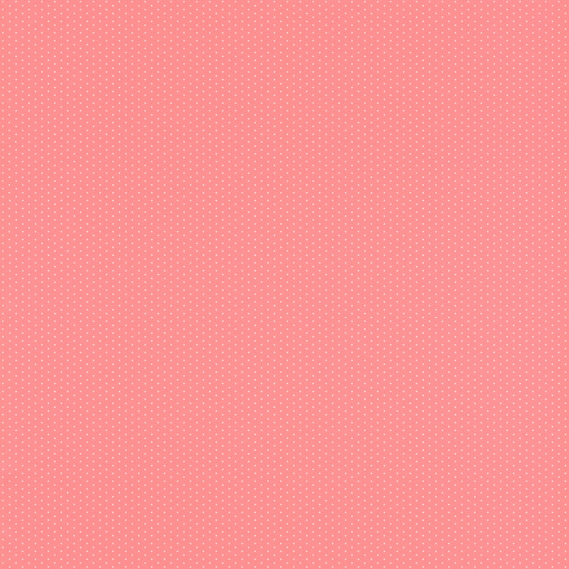 Обои Rasch Petite Fleur 5 288505 - Зображення