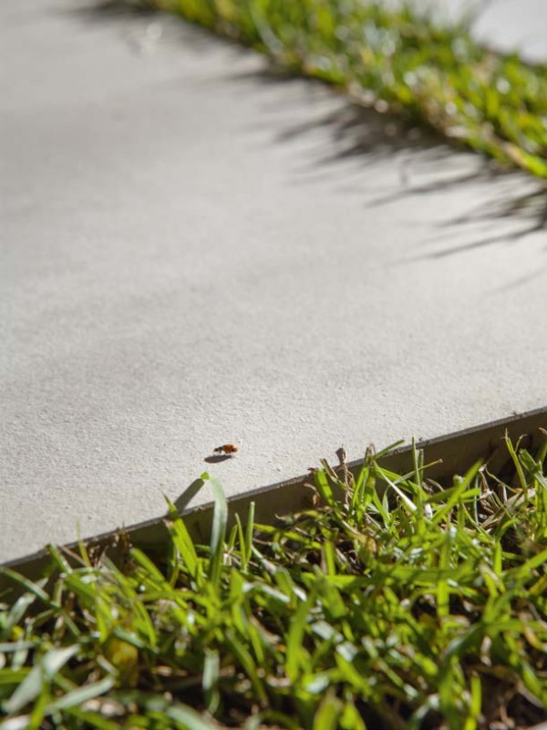 Плитка керамогранітна CSASCPE260 Set Con Pe AS 2.0 604x906x20 Sant'agostino - Зображення 316879-54f6f.jpg