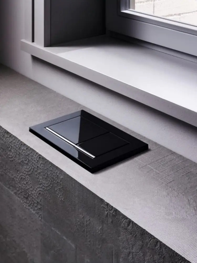 Клавиша смыва Omega 30 (115.080.KM.1) черный, Geberit - Зображення 317209-af59b.jpg