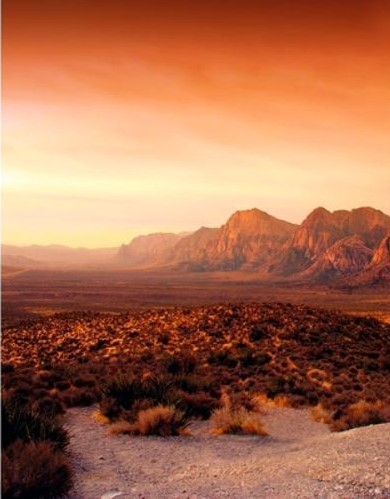 Шпалери Marburg Dune 32548 - Зображення