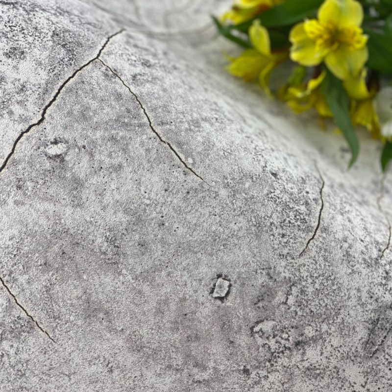 Шпалери Marburg New Spirit Schöner Wohnen II 32758 - Зображення 32758-2.jpg