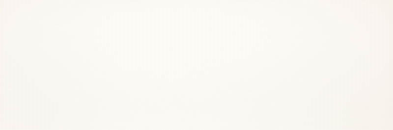 Плитка стінова Elegant Surface Bianco RECT 298x898x9 Paradyz - Зображення 353184-d9a8f.jpg