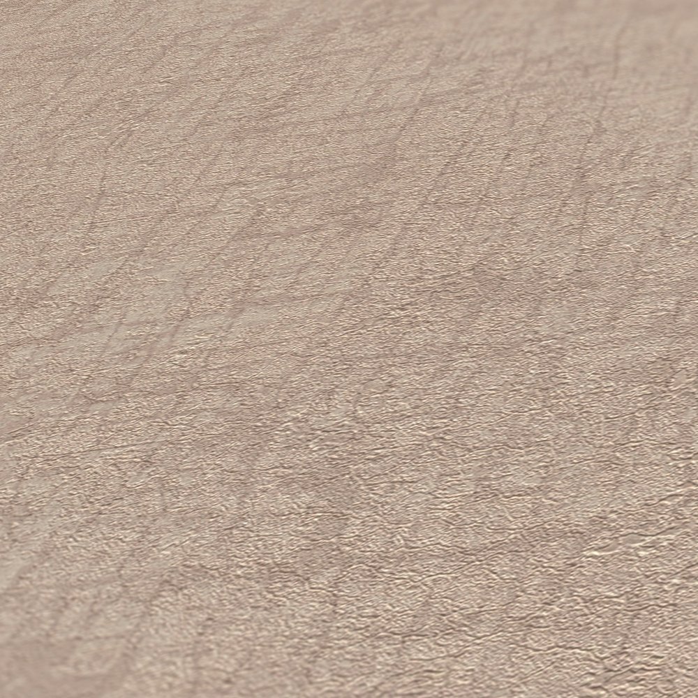 Шпалери AS Creation Amber 39596-5 - Зображення