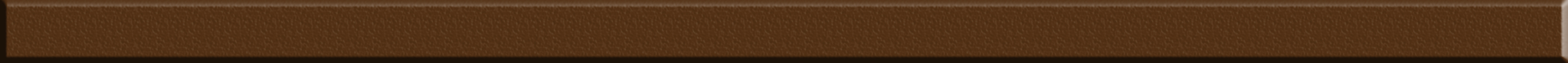 Фриз GF 5014 Brown White 25×500x8 Котто Кераміка - Зображення 3c399-gf_14-brown-white.jpg