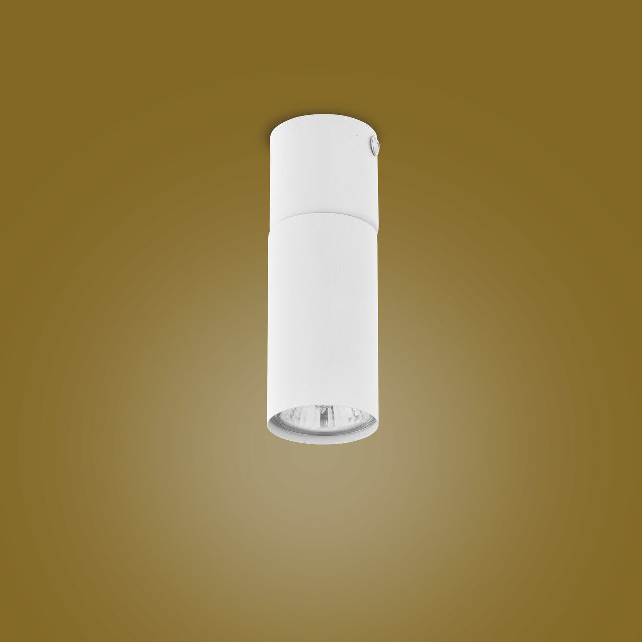 Точковий світильник LOGAN WHITE (4421), TK LIGHTING - Зображення 4421-2.jpg