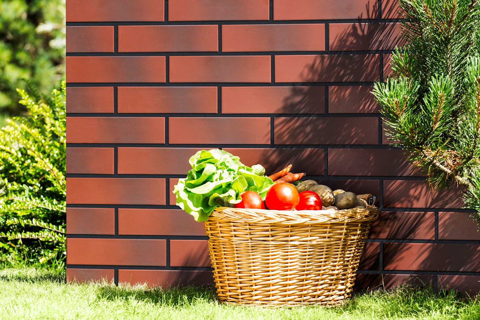 Плитка фасадна з відтінком Burgund 65x245x6,5 Cerrad - Зображення 4b46d-burgund-cieniowana-detal-1-.jpg